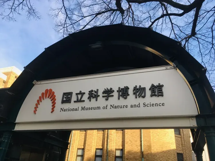 カンナ(松たか子)が恐竜の化石を見上げる博物館 — 国立科学博物館 - メインビュー 3