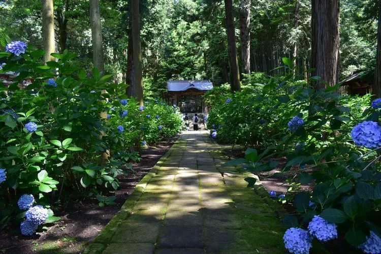 オープニングに登場する寺 - メインビュー 3