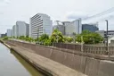 烏丸弁護士（松村北斗）が歩いてたところ、伏見組若頭の京極清志（ムロツヨシ）が車から呼び止めた道