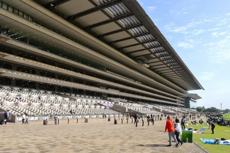 日本ダービー・ジャパンカップが開催される競馬場 — 東京競馬場 - 現地撮影写真 1