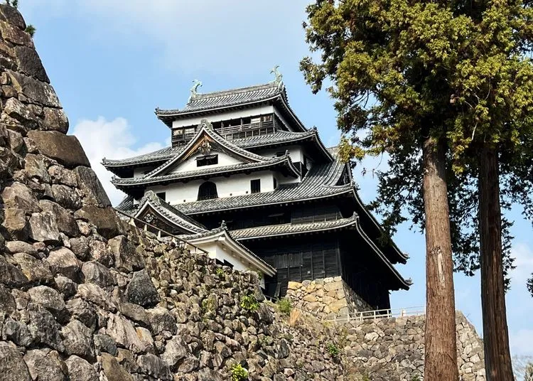 松江城 - 現地撮影写真 10