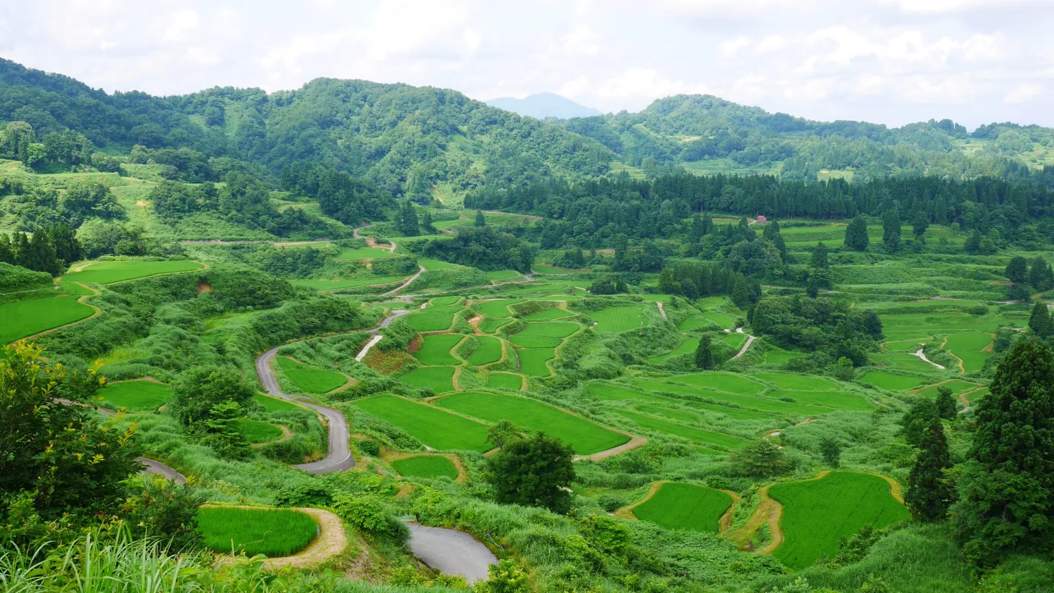 新潟県の風景