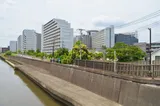 烏丸（松村北斗）が歩き京極の車が走る拘置所前 — 東京拘置所