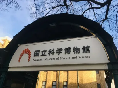 カンナ（松たか子）が恐竜の化石を見上げる博物館 — 国立科学博物館 - 写真 3