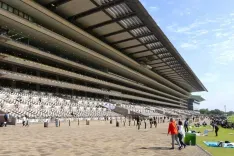 日本ダービー・ジャパンカップが開催される競馬場 — 東京競馬場