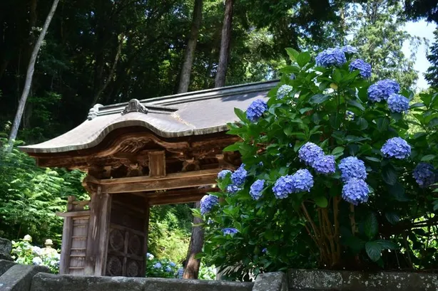 オープニングに登場する寺 - 写真 2