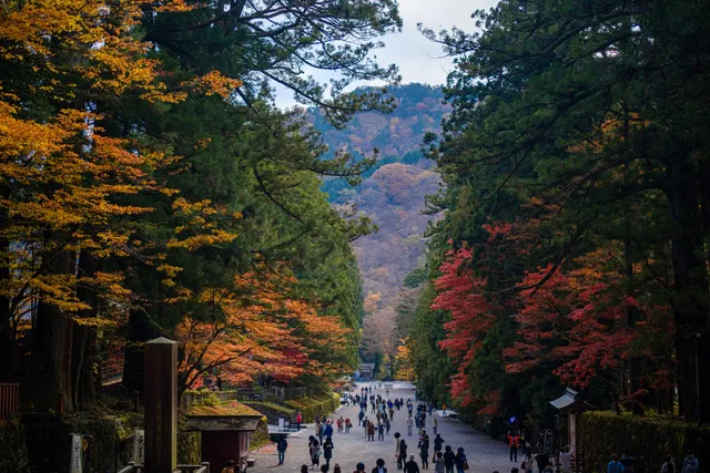 栃木県