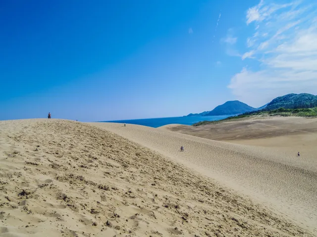 鳥取県