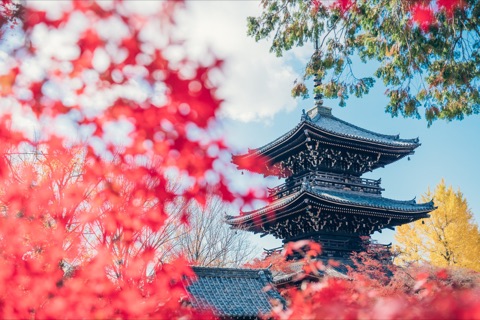 京都府のロケ地